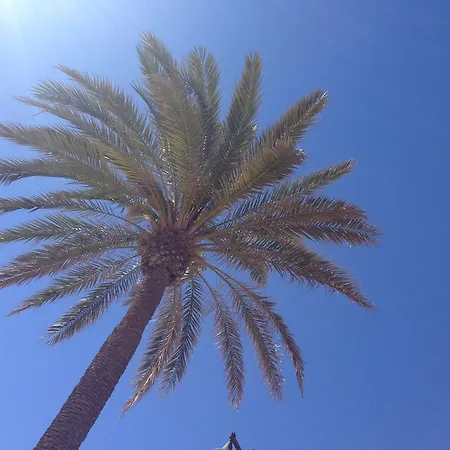 Jazmin Planta Baja A 100m De La Playa By Family Homes Апартаменты *