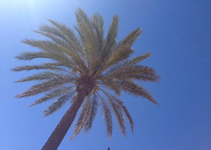 Jazmin By Family Homes Lejlighed *